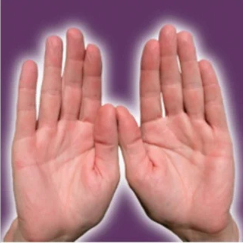 Untitled design (21)